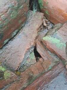 mantención-de-techumbre-de-teja