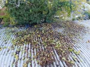 limpieza-de-techo-y-canaleta