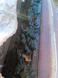 limpieza-de-techo-y-canaleta