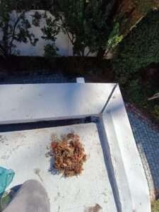 limpieza-y-sellado-en-techumbre