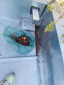 limpieza-y-sellado-en-techumbre