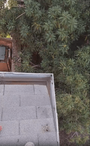 limpieza-de-canaleta2