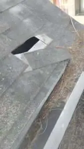 Limpieza de canaletas y arreglo de teja