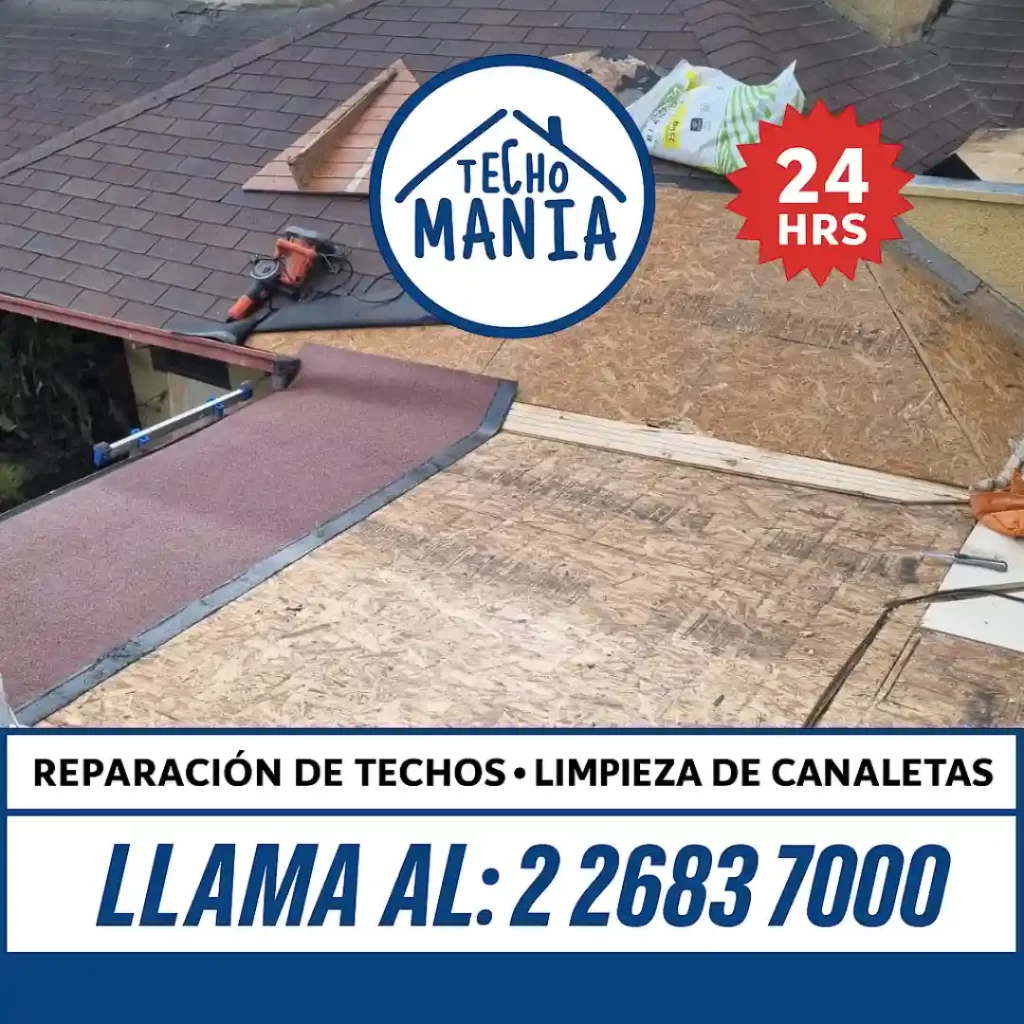 Servicio Profesional de Limpieza de Canaletas en Santiago: Protege tu Hogar