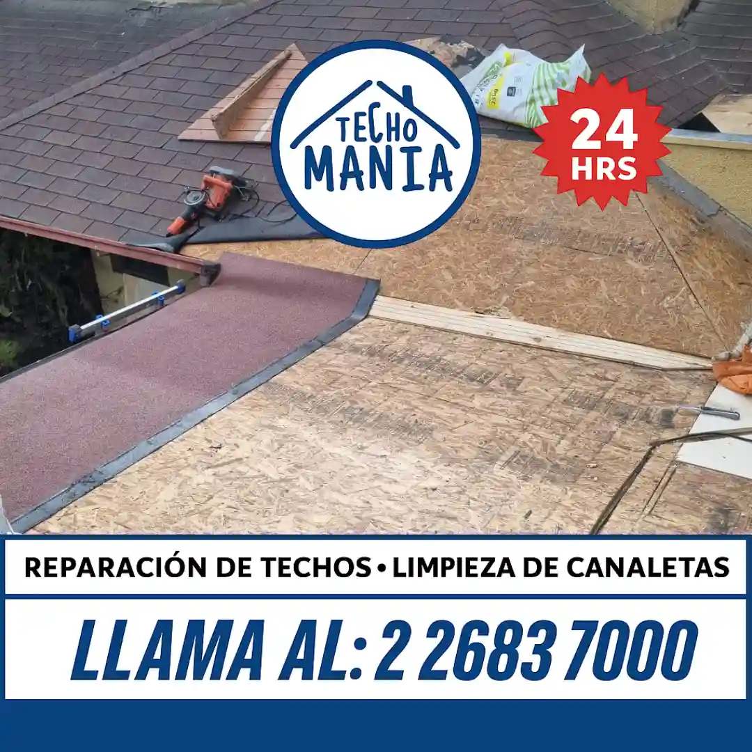 Servicio Profesional de Limpieza de Canaletas en Santiago: Protege tu Hogar